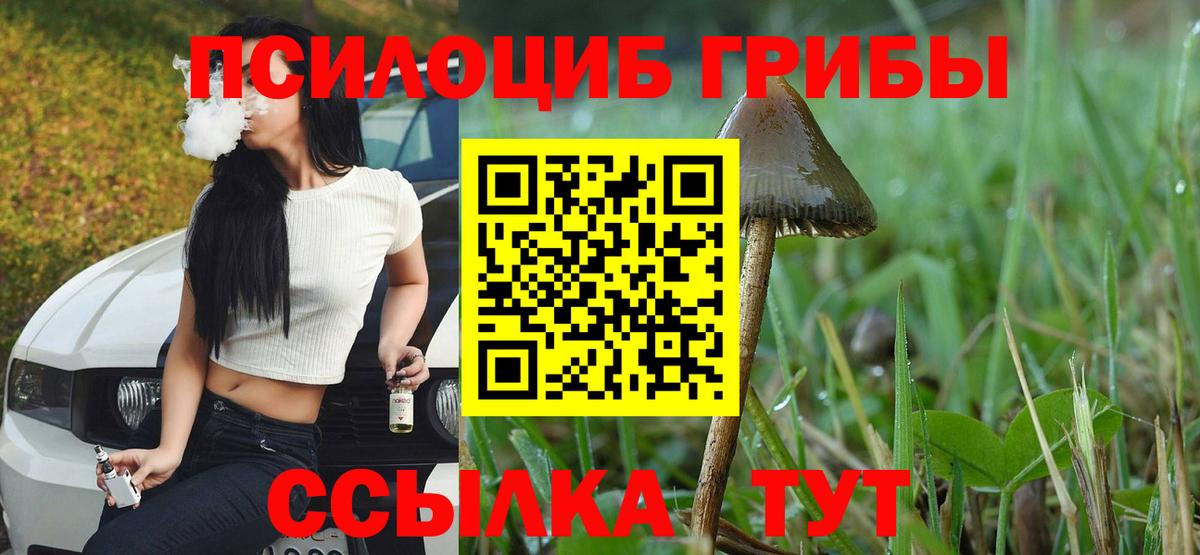 Псилоцибиновые грибы прущие грибы Гусиноозёрск