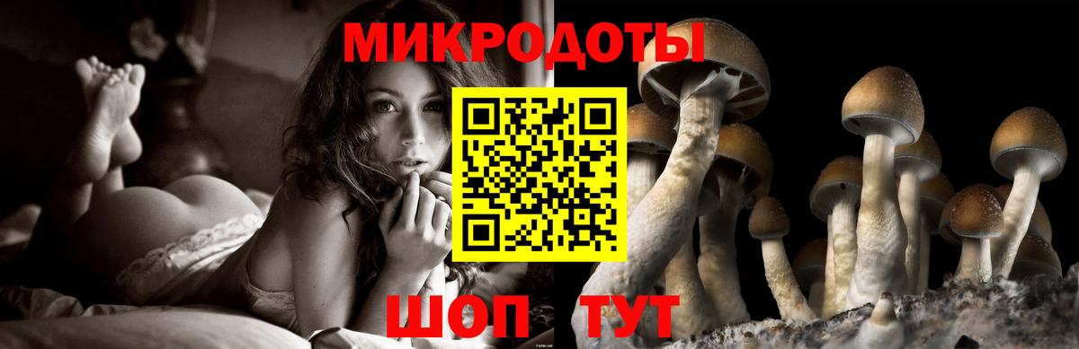 Псилоцибиновые грибы Psilocybe  Галлюциногенные грибы Psilocybine cubensis  Вход с VPN  Гусиноозёрск 